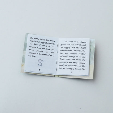 Hero Girls of the Forest stapled book