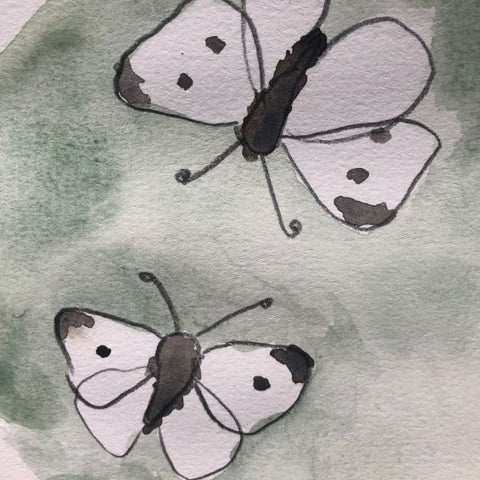 Cabbage White Butterfly