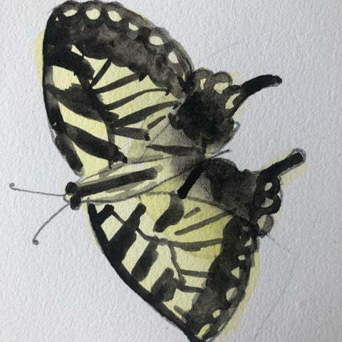 Eastern Tiger Swallowtail Butterfly Illustration