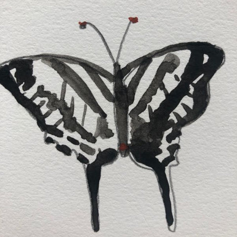 Zebra Swallowtail Illustration