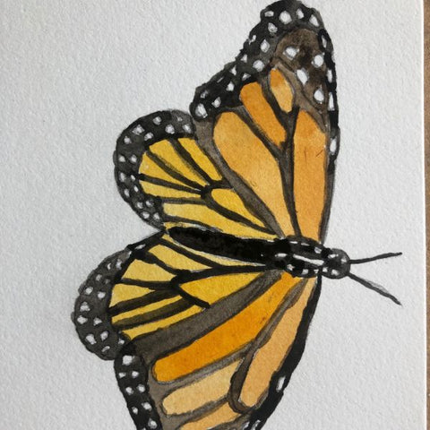 Monarch Butterfly Illustration