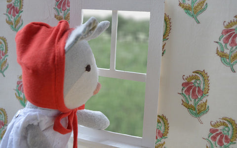 Gracie Cat looking out of the window