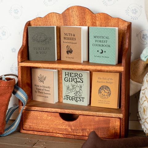 editorial of bookshelf for dolls with library books