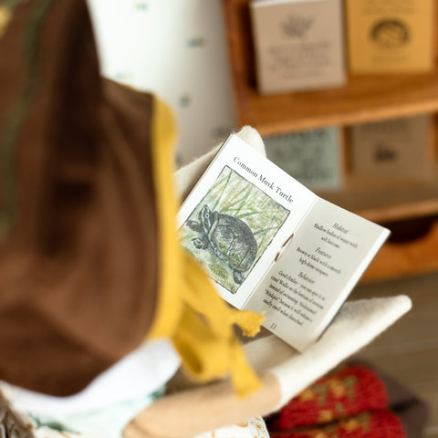 lucy owl reading the book Turtles & You