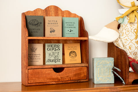 library books on wooden bookshelf